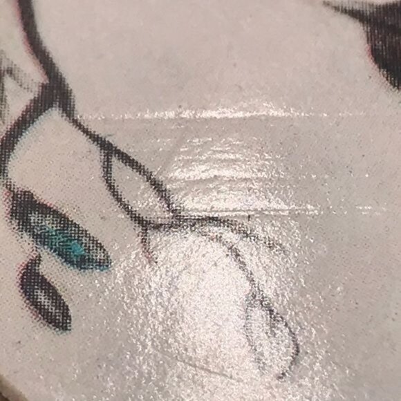 Reuge Swiss Music Box Boy Playing Horn for Bird Image on Top Wood Footed Hinged - Picture 10 of 13